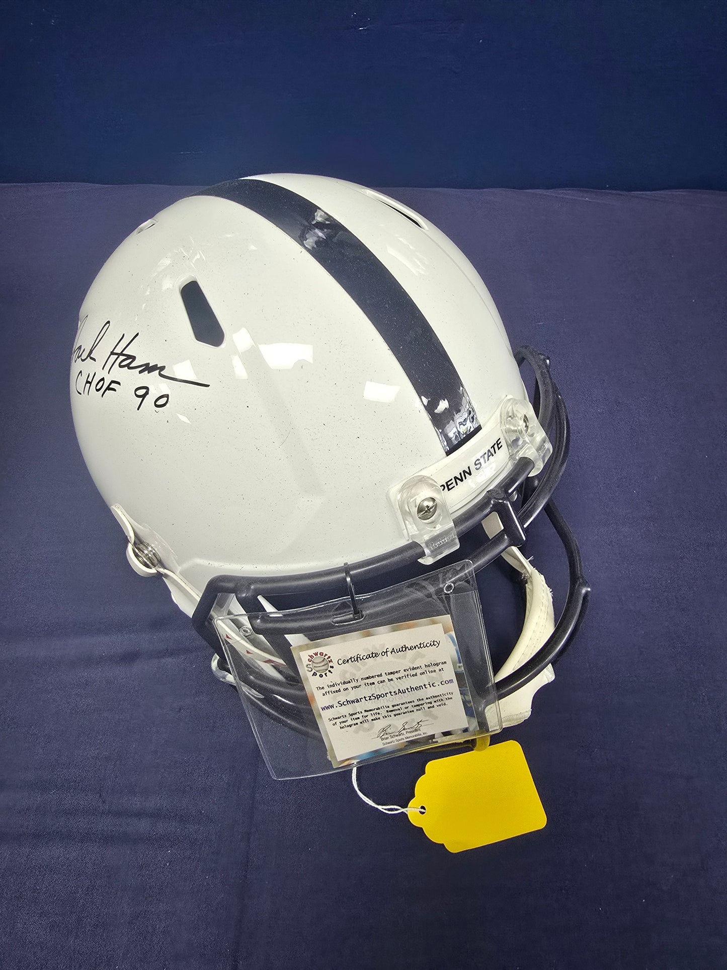 Penn State Helmet