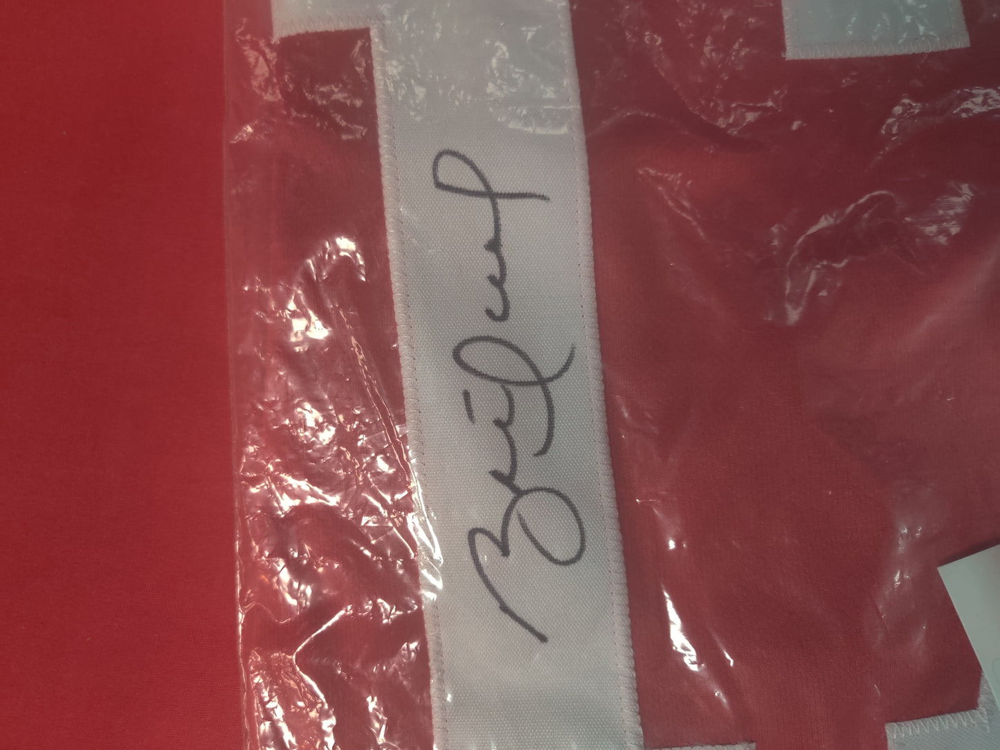 Brett Hull Autographed jersey