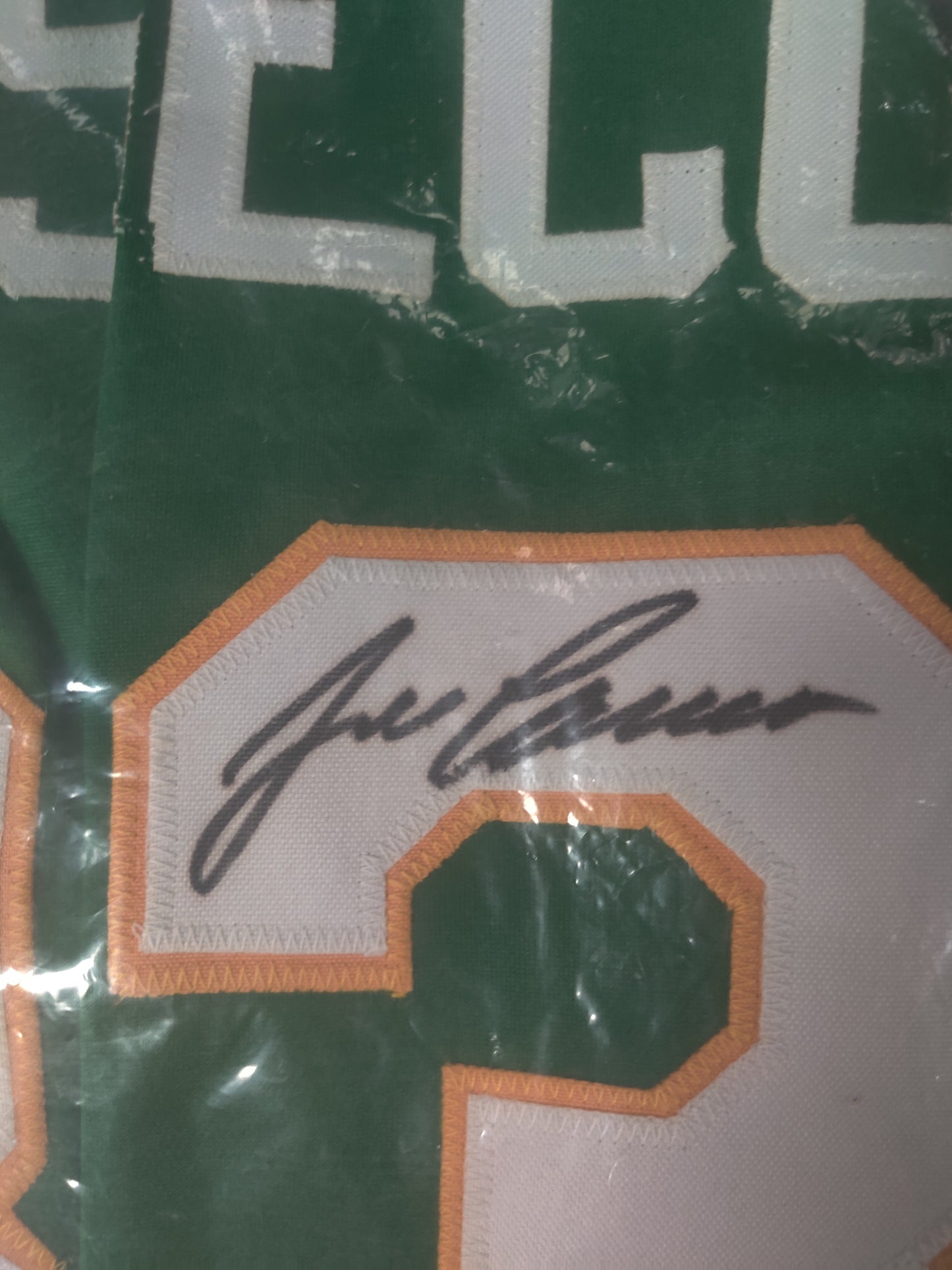 Jose canseco autograph jersey