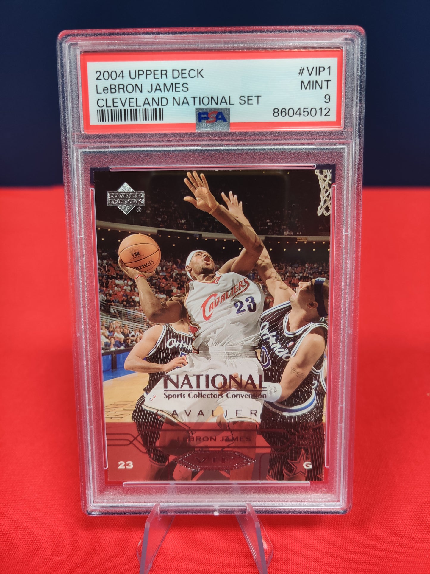 2004 Upper Deck LeBron James CLeveland National Set