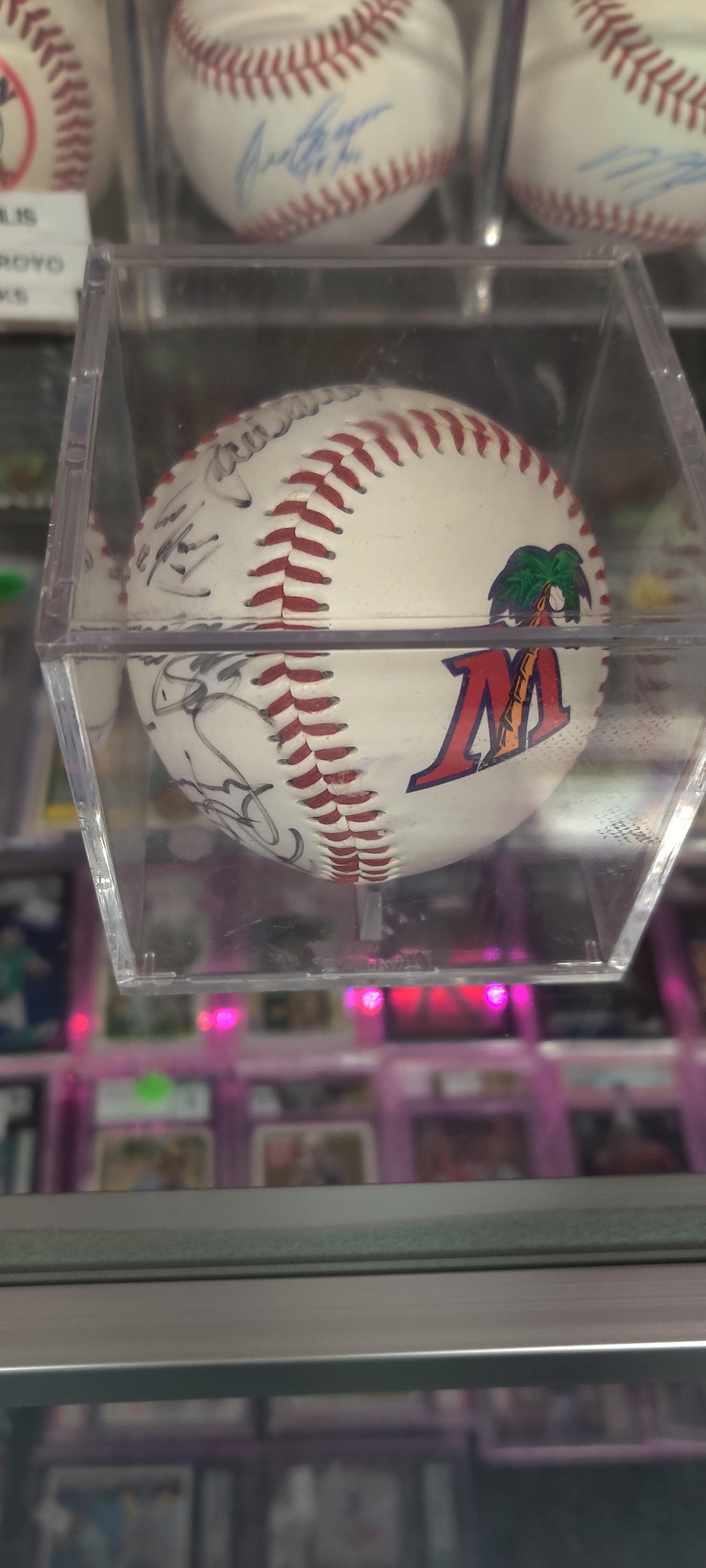 Florida Marlins Team Ball