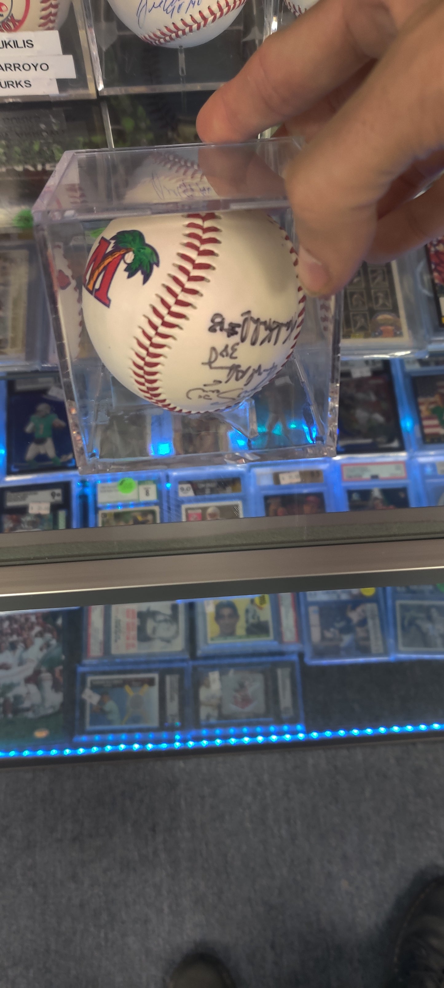 Florida Marlins Team Ball